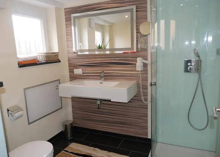 阿妮塔菲林豪斯旅馆 3*